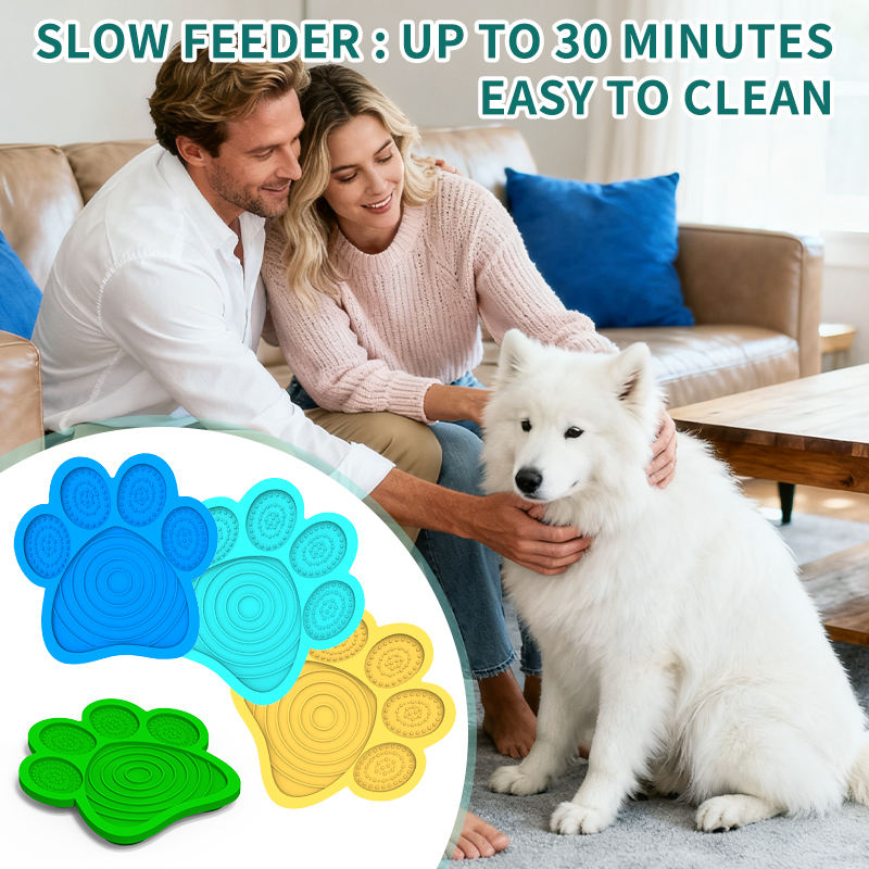 Modern Silicone Pet Bowls Portable Collapsible Travel for Dogs and Cats Solid Pattern for Indoor and Outdoor Use