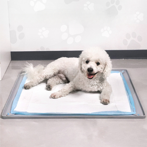 Top Rankings Dog Puppy Pee Pads Disposable Changing Pet Pee Pads Healthy Mat for Cats Dogs Rabbits