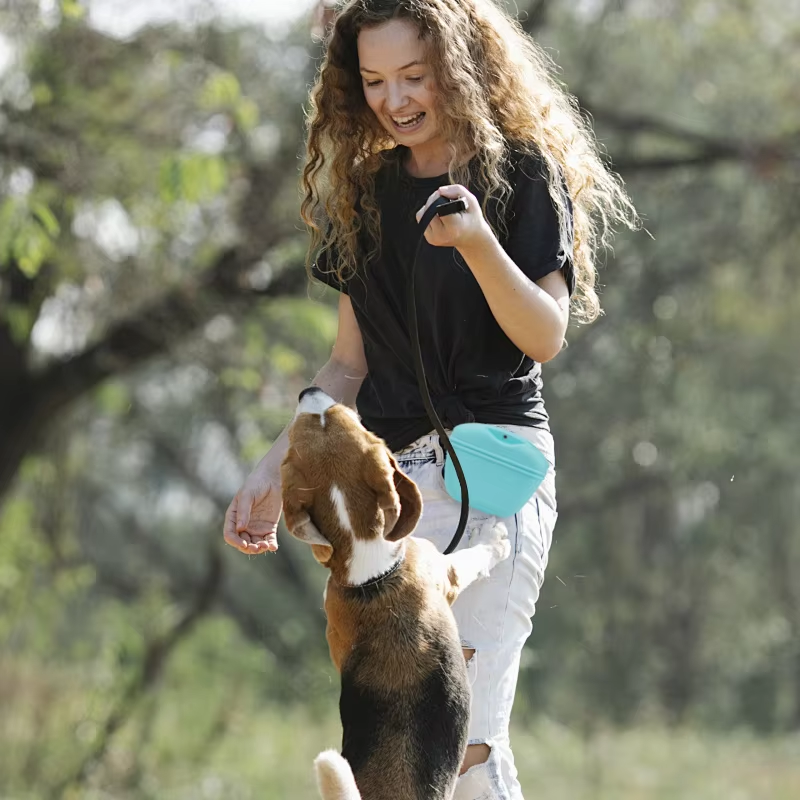 Silicone Dog Treat Pouch - Magnetic Closure with Waist Clip