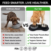 Silicone Pet Bowl for Dogs and Cats Feeder Bowls for Pets Dog Food Bowl with No-Spill and Non-Slip Design