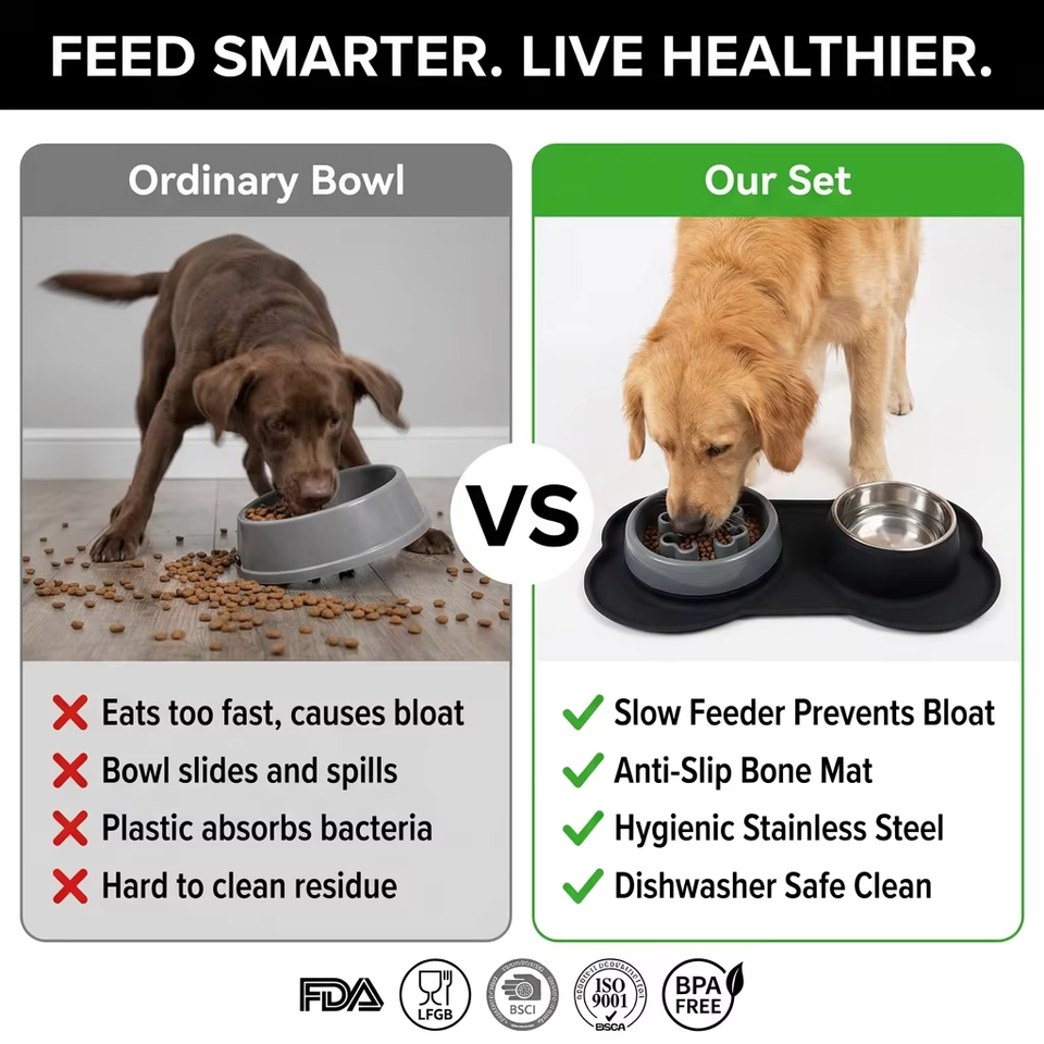 Silicone Pet Bowl for Dogs and Cats Feeder Bowls for Pets Dog Food Bowl with No-Spill and Non-Slip Design