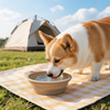 Portable Collapsible Dog Bowl BPA Free TPE ABS Collapsible Pet Bowl Portable Dog Feeder with Adjustable Height for Travel