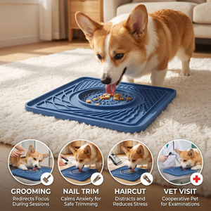 Food Grade Silicone Portable Lick Mat for Pets Slow Food Dispensing Pad Anti Skid Base Interactive Calming Treat
