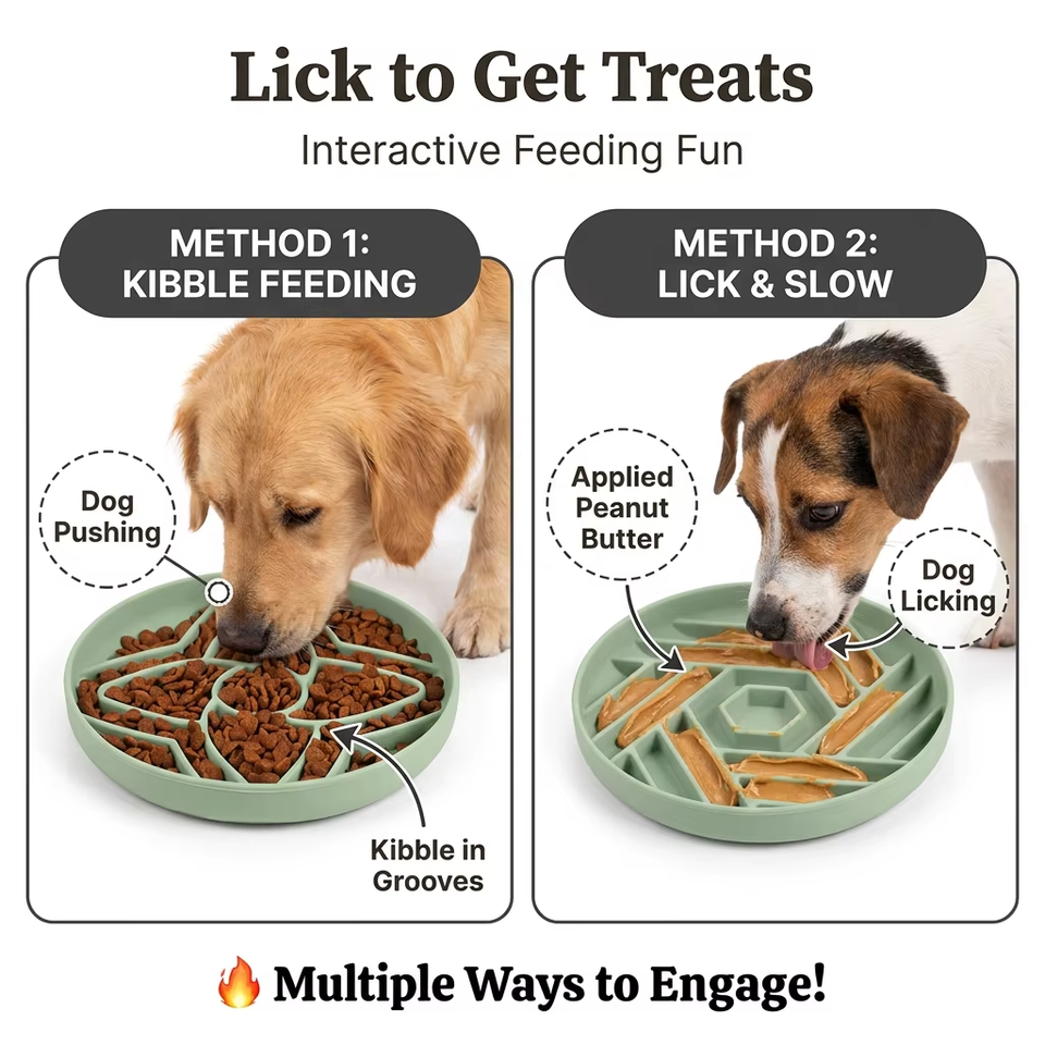 2027 New Arrivals Anti-Choking Slow Feeding Cat Dog Disc Eco-Friendly Silicone Pet Food Utensils Bowls