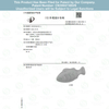 Interactive Catnip Toy for Cats - Fish Shape Teeth Cleaning