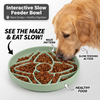 2027 New Arrivals Anti-Choking Slow Feeding Cat Dog Disc Eco-Friendly Silicone Pet Food Utensils Bowls