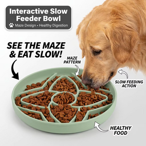 2027 New Arrivals Anti-Choking Slow Feeding Cat Dog Disc Eco-Friendly Silicone Pet Food Utensils Bowls