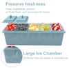Wellfine Large Ice Chilled Condiment Caddy 5 Removable Compartment Serving Platters Fruit Garnish Tray