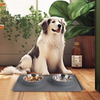 New Arrivals Waterproof Cats Dogs Pets Silicone Mat Double Food Bowl Pet Feeder Mat Bowl Set