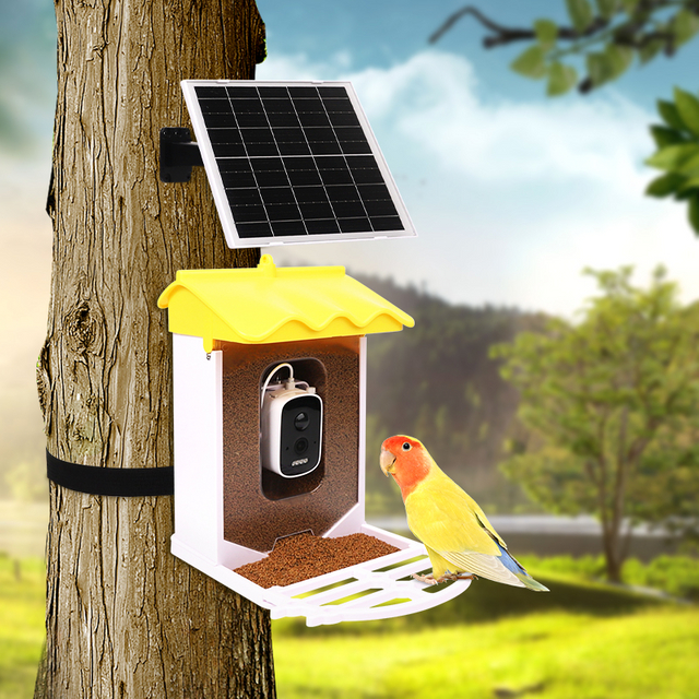 Mangeoire &agrave; oiseaux intelligente de 3,2 l, &agrave; l'&eacute;preuve des &eacute;cureuils, avec d&eacute;tection automatique de mouvement, cam&eacute;ra d'observation des oiseaux WiFi sans fil pour l'ext&eacute;rieur