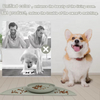 Top Sellers Silicone Slow Feeder Dog Bowl Suction Cups Waterproof Pet Feeding Mats with High Lips with Dog Bowl Set