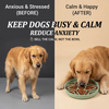 2027 New Arrivals Anti-Choking Slow Feeding Cat Dog Disc Eco-Friendly Silicone Pet Food Utensils Bowls