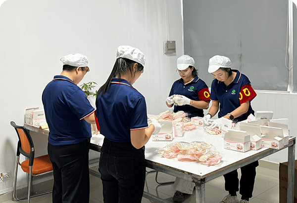 Mass Production & QC