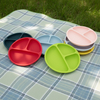 Wellfine Suction Cup Toddler Plates with Suction Custom Baby Plates Silicone with Spoon and Fork