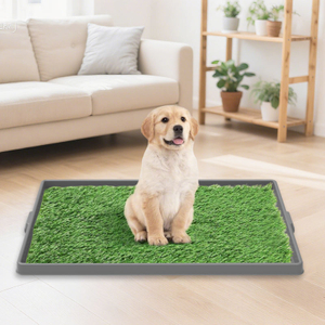 Silicone Pet Diatom Mud Feeding Mat Absorbent Splash-Proof Cat and Dog Eating Mat Silicone cat Litter Mat