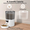 Modern Solid Pattern Timed Automatic Cat Feeders Small Animal Suitable Bowls Rechargeable Power Source
