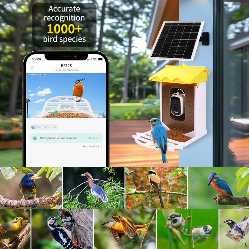 Comedero inteligente para p&aacute;jaros a prueba de ardillas, 3,2 L, con detecci&oacute;n autom&aacute;tica de movimiento, c&aacute;mara inal&aacute;mbrica para observaci&oacute;n de aves WiFi para exteriores